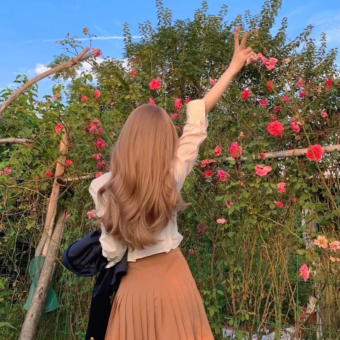 饿狼传：孤狼之道